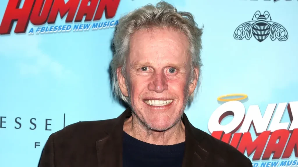 Gary Busey Gets 2 Years’ Probation for 2022 Convention Crime
