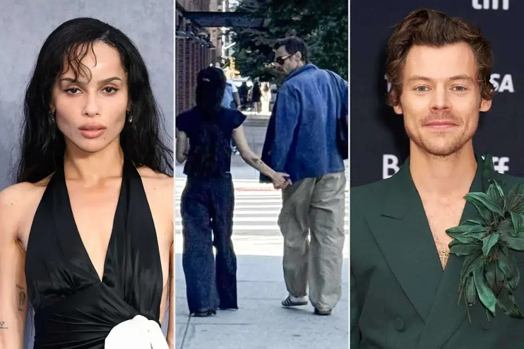Zoe Kravitz & Harry Styles Caught in Steamy PDA-Filled NYC Date Night